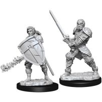 Dungeons And Dragons Nolzur's Marvelous Unpainted Minis: Human Male Fighter