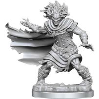 Dungeons And Dragons Frameworks: Wight