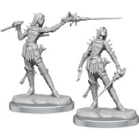 DMGWZK77003 Pathfinder Legendary Cuts Painted Miniatures: Female Elf Rogue (Damaged) published by WizKids Games