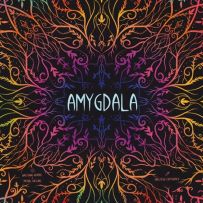 GAB494111 Amygdala Board Game published by Game Brewer