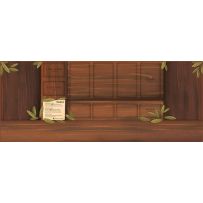 Parks Board Game: Playmat