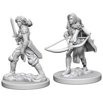 Pathfinder Deep Cuts Unpainted Miniatures: Human Female Fighter