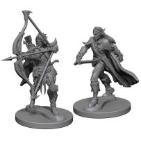 Pathfinder Deep Cuts Unpainted Miniatures: Elf Male Fighter