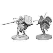 Pathfinder Deep Cuts Unpainted Miniatures: Human Female Paladin