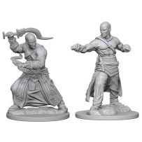 Pathfinder Deep Cuts Unpainted Miniatures: Human Male Monk