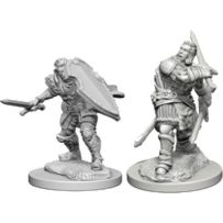 Dungeons And Dragons Nolzur's Marvelous Unpainted Minis: Human Male Paladin