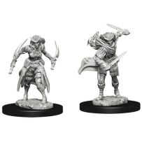 Dungeons And Dragons Nolzur's Marvelous Unpainted Minis: Tiefling Female Rogue