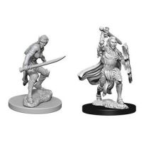 Dungeons And Dragons Nolzur's Marvelous Unpainted Minis: Elf Female Fighter