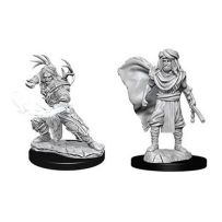 Dungeons And Dragons Nolzur's Marvelous Unpainted Minis: Human Male Druid 2