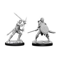 Pathfinder Deep Cuts Unpainted Miniatures: Elf Female Fighter 2