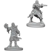Pathfinder Deep Cuts Unpainted Miniatures: Human Male Wizard