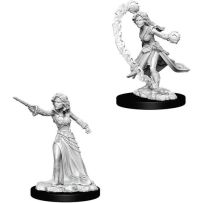 Pathfinder Deep Cuts Unpainted Miniatures: Human Female Wizard