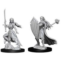 Dungeons And Dragons Nolzur's Marvelous Unpainted Minis: Elf Female Paladin