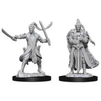 Dungeons And Dragons Nolzur's Marvelous Unpainted Minis: Elf Male Paladin