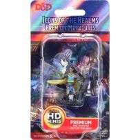 Dungeons And Dragons: Elf Female Druid Premium Figure
