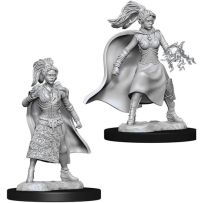 Dungeons And Dragons Nolzur's Marvelous Unpainted Minis: Human Female Sorcerer