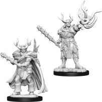Pathfinder Deep Cuts Unpainted Miniatures: Half-Orc Male Druid