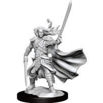 Dungeons And Dragons Frameworks: Elf Ranger Male