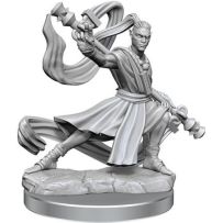 Dungeons And Dragons Frameworks: Elf Monk Male