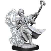 Dungeons And Dragons Frameworks: Human Wizard Male
