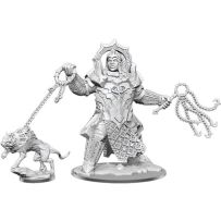 WZK75094 Dungeons And Dragons Frameworks: Fire Giant published by WizKids Games
