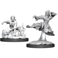 Dungeons And Dragons Nolzur's Marvelous Unpainted Minis: Human Female Monk 2