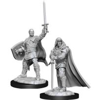 Dungeons And Dragons Nolzur's Marvelous Unpainted Minis: Human Male Paladin Male