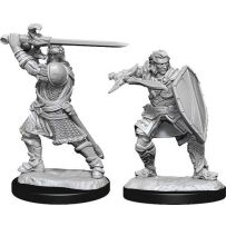 Dungeons And Dragons Nolzur's Marvelous Unpainted Minis: Human Paladin Male