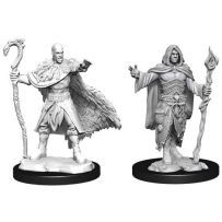 Dungeons And Dragons Nolzur's Marvelous Unpainted Minis: Human Druid Male