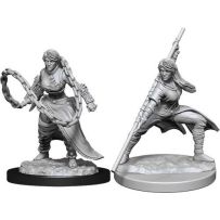 Dungeons And Dragons Nolzur's Marvelous Unpainted Minis: Human Monk Female