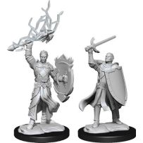 Dungeons And Dragons Nolzur's Marvelous Unpainted Minis: Half-Elf Paladin Male
