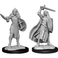 Pathfinder Deep Cuts Unpainted Miniatures: Human Champion Female