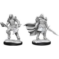 Dungeons And Dragons Nolzur's Marvelous Unpainted Minis: Dragonborn Fighter Female