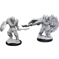 Dungeons And Dragons Nolzur's Marvelous Unpainted Minis: Dragonborn Fighter Male