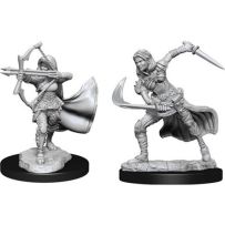 Dungeons And Dragons Nolzur's Marvelous Unpainted Minis: Air Genasi Female