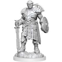 Dungeons And Dragons Nolzur's Marvelous Unpainted Minis: Earth Genasi Fighter