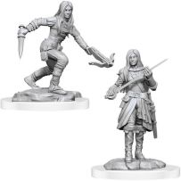 Dungeons And Dragons Nolzur's Marvelous Unpainted Minis: Half-Elf Rogue Female 2