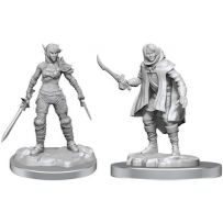 Dungeons And Dragons Nolzur's Marvelous Unpainted Minis: Elf Rogue And Half-Elf Rogue Protege