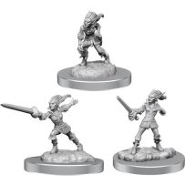 Dungeons And Dragons Nolzur's Marvelous Unpainted Minis: Quicklings