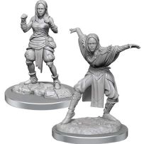 WZK90652S Pathfinder Deep Cuts Unpainted Miniatures: Half-Elf Monk Female published by WizKids Games