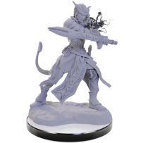 WZK90670S Dungeons And Dragons Nolzur's Marvelous Unpainted Minis: Tiefling Warlocks published by WizKids Games