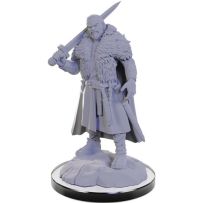 WZK90674S Dungeons And Dragons Nolzur's Marvelous Unpainted Minis: Loup Garou published by WizKids Games