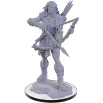 WZK90688S Pathfinder Deep Cuts Unpainted Miniatures: Wood Giant published by WizKids Games