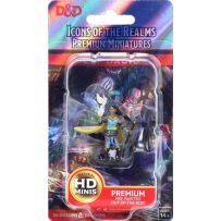 Dungeons And Dragons: Elf Female Druid 2 Premium Figure
