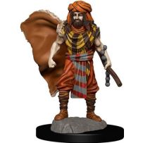 Dungeons And Dragons: Human Druid Male Premium Figure