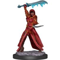 Dungeons And Dragons: Human Rogue Female Premium Figure