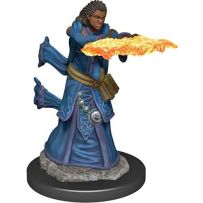 Dungeons And Dragons: Human Wizard Female Premium Figure