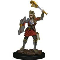 Dungeons And Dragons: Human Cleric Female Premium Figure