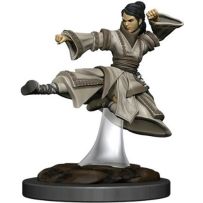 Dungeons And Dragons: Human Monk Female Premium Figure