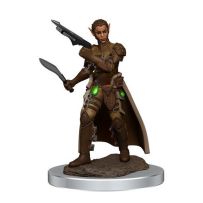 Dungeons And Dragons: Female Shifter Rogue Premium Figure